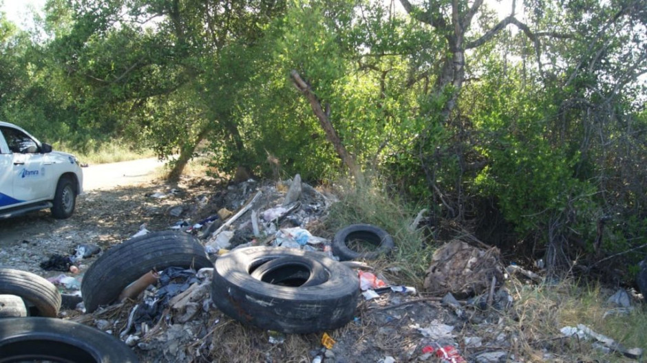 Implementa Dirección de Ecología acciones para contribuir a la conservación del ecosistema