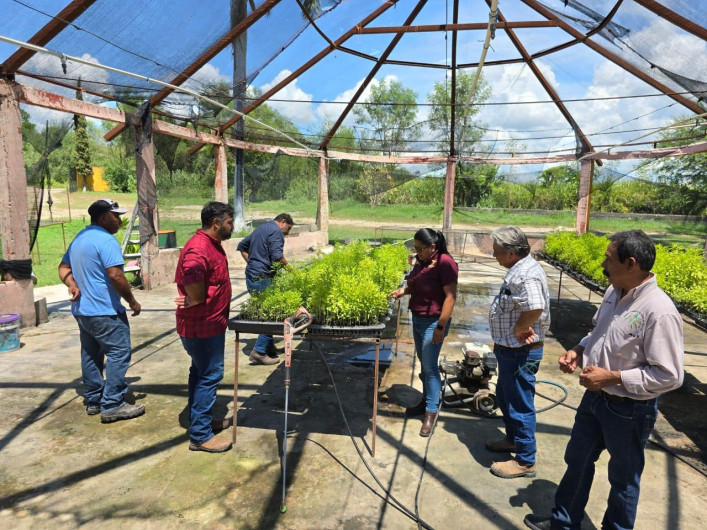 Presenta Desarrollo Rural programas de apoyo para productores agropecuarios y forestales de Abasolo