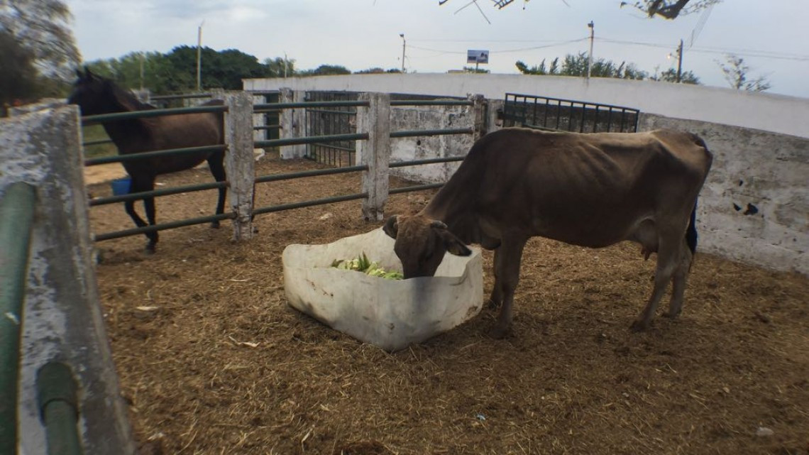 Llevan agua en pipas a zonas rurales afectadas por sequía