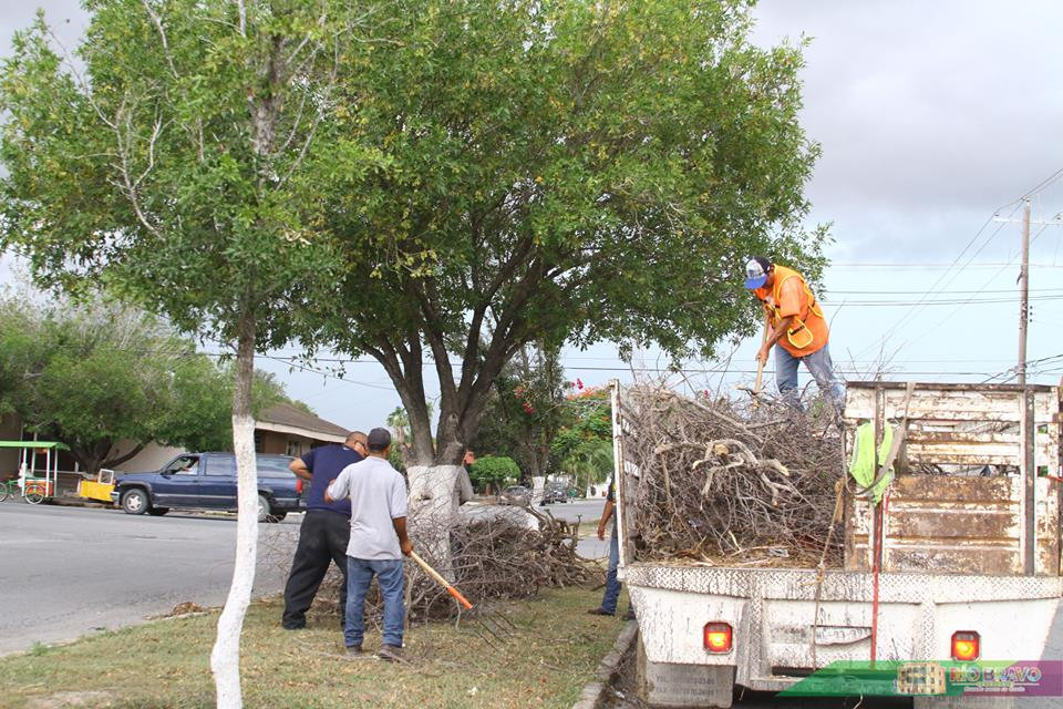 Realizan brigada de limpieza