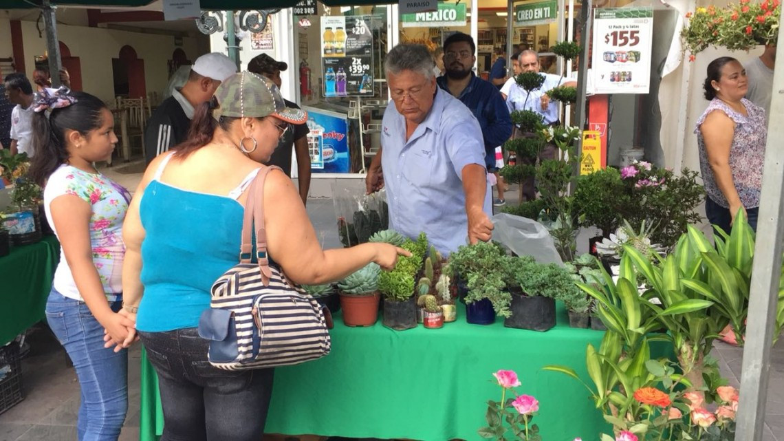 Conmemora Tampico el día mundial de la biodiversidad