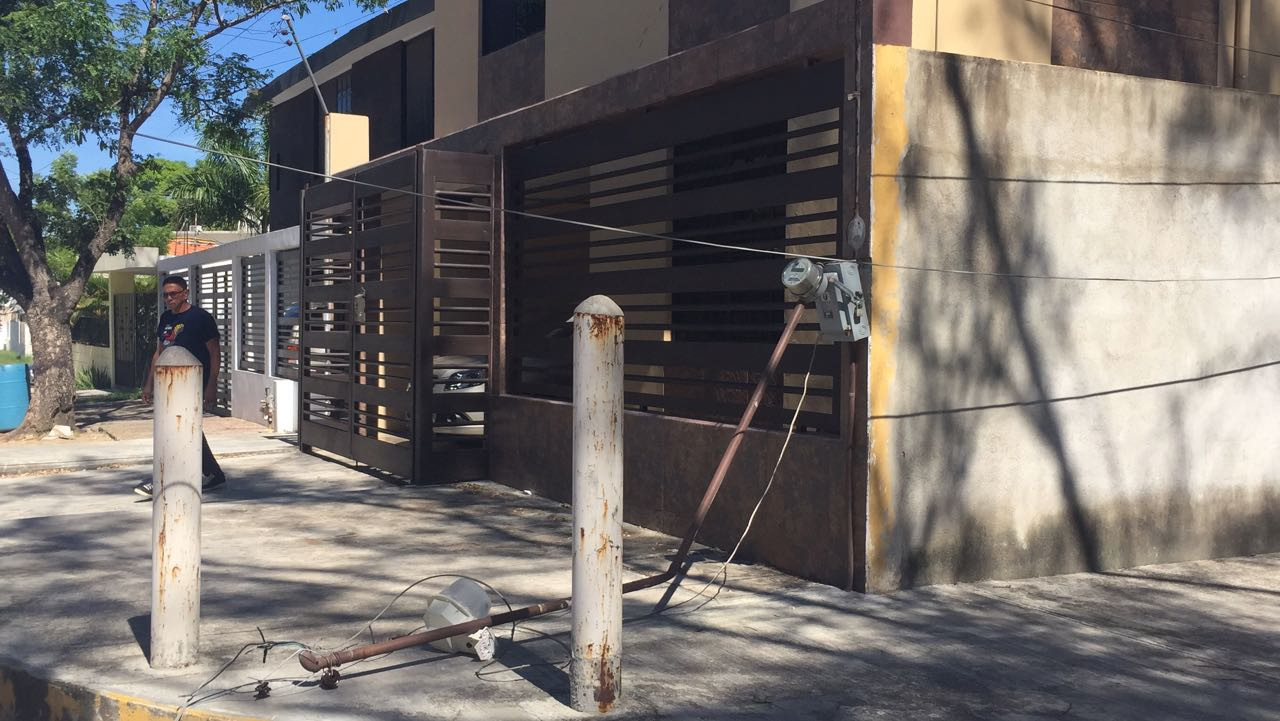 Pino tumba poste y cableado de CFE y deja sin luz a 100 viviendas