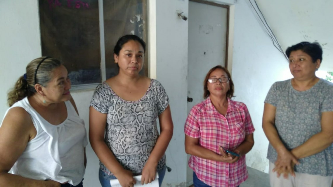 Departamento con 30 gatos causa estragos y molestias en la 20 de noviembre