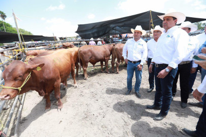 Inicia programa Mejoramiento Genético Tam 2017