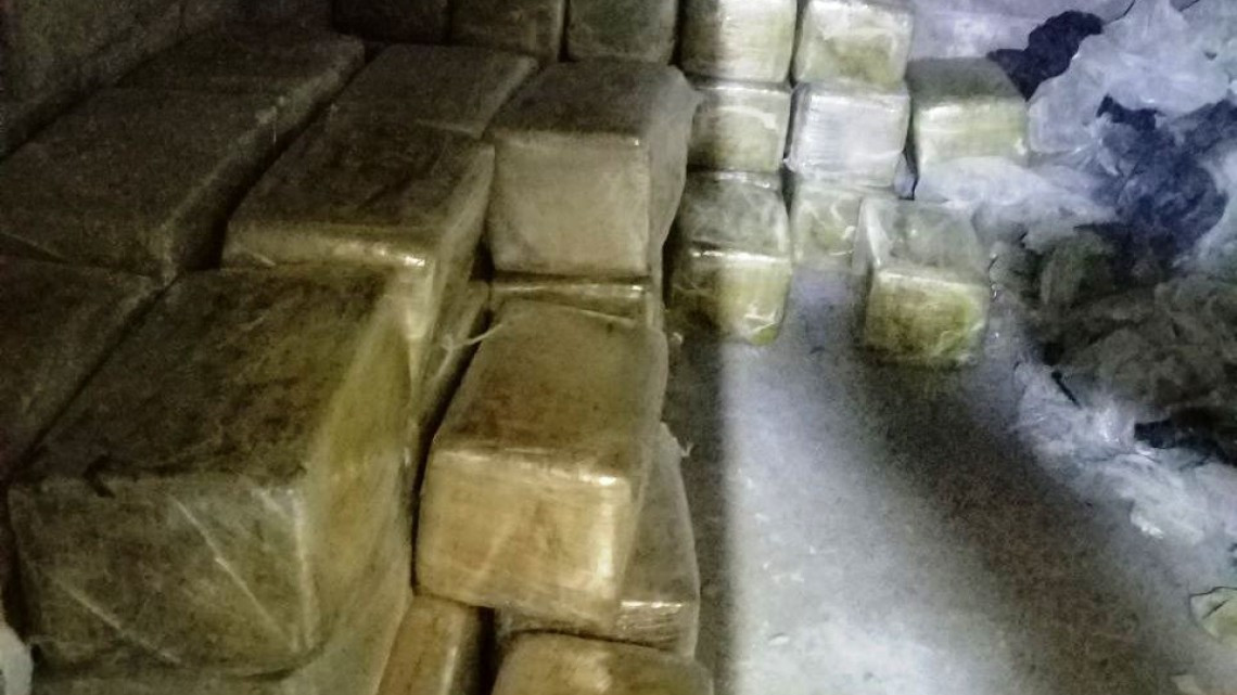 Incautan 536 kg de marihuana en Miguel Alemán