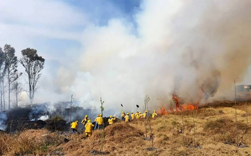 Persecución policial termina en incendio de pastizal 
