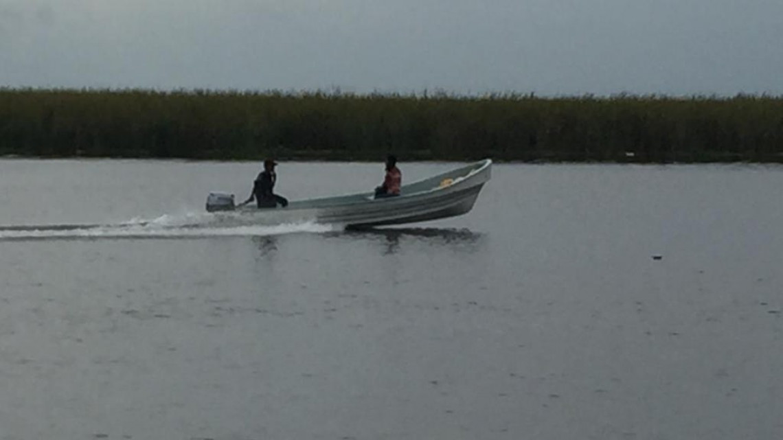 Afecta pez diablo la producción pesquera en lagunas del Sur