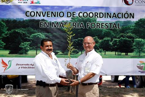 Alcalde de Valle Hermoso firma convenio con la Conafor 