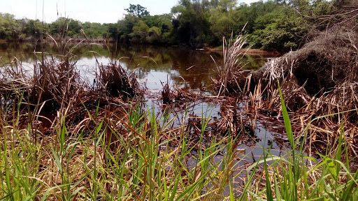 Fuga de combustible afecta tierra de siembra y presa de la zona ejidal