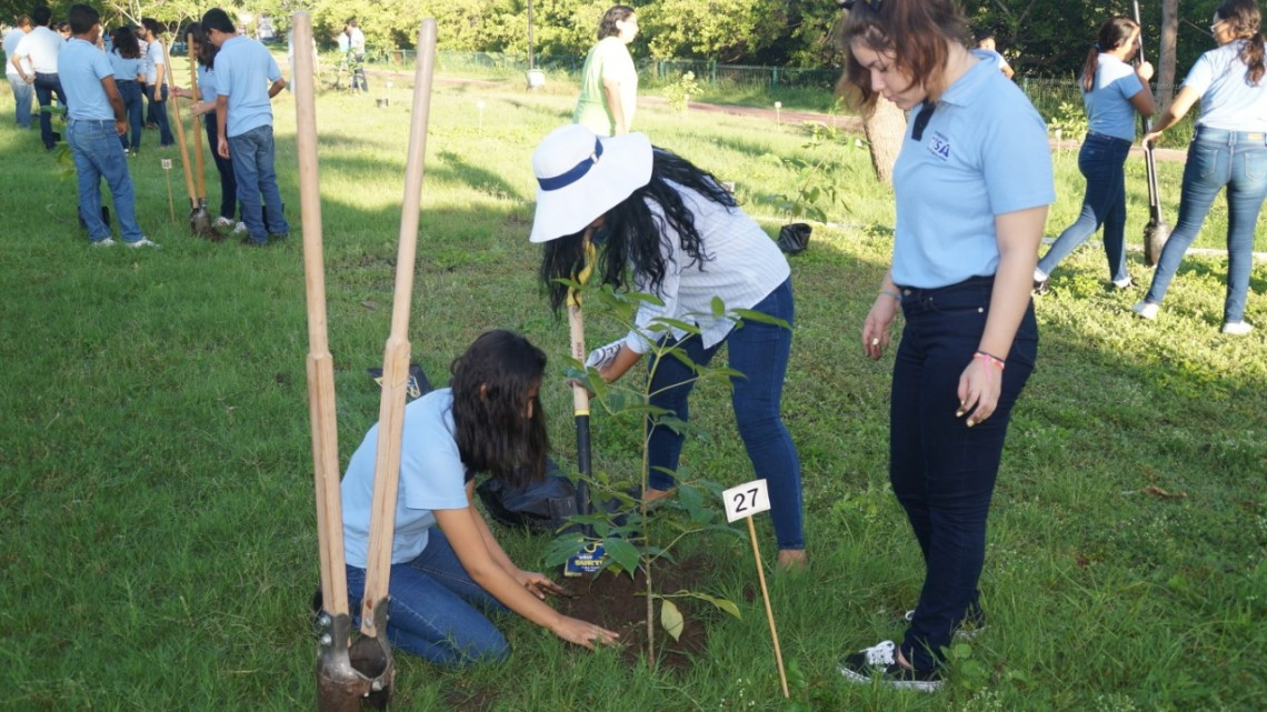 Emprenden en Tampico Jornadas de Reforestación 