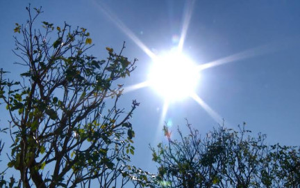 Más calor y menos lluvia; conoce el pronóstico para Tamaulipas