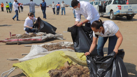 Arranca en Altamira programa “Playa Limpia 2021”
