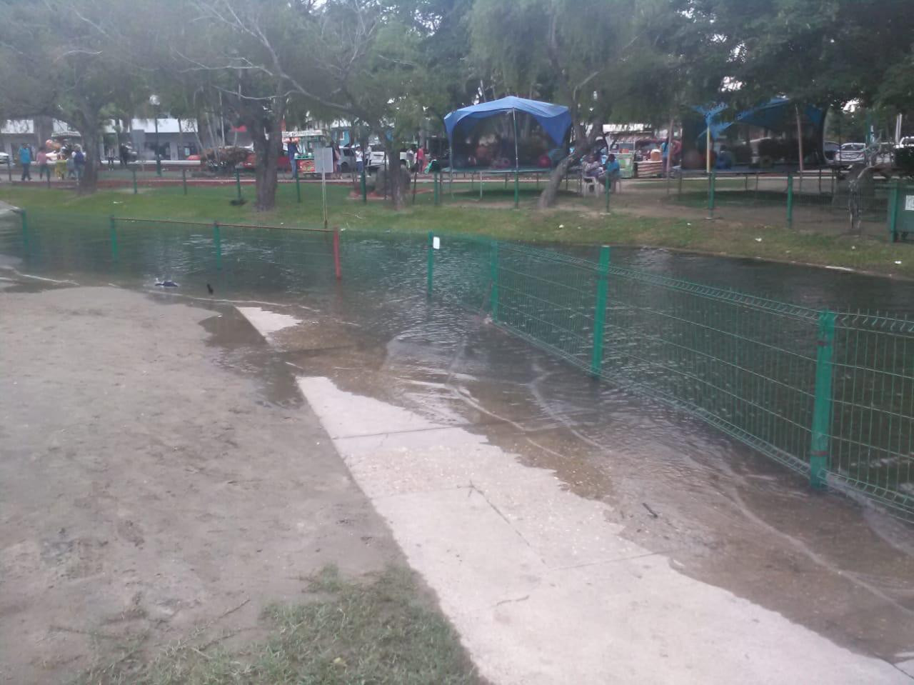 Laguna del Carpintero en Tampico comienza a desbordarse 