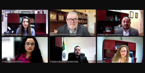 Frena Trieltam participación de Fernando Campos en elección judicial