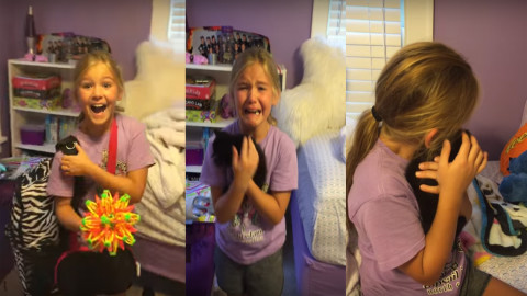 Conmovedor encuentro entre una niña y su nueva mascota