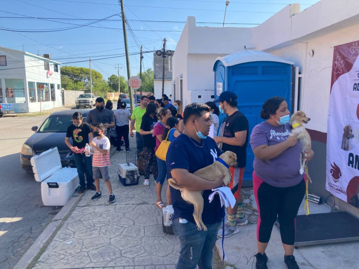 Realizará Gobierno Municipal onceava campaña de esterilización felina y canina