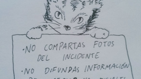 Tras atentado en Barcelona Twitter se llena de gatitos