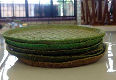 Jóvenes reynosenses crean platos desechables a base de nopal