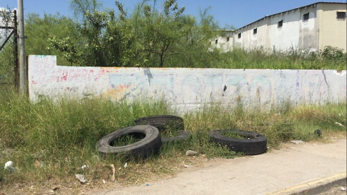 Salud atentos ante posibles brotes de dengue tras lluvias