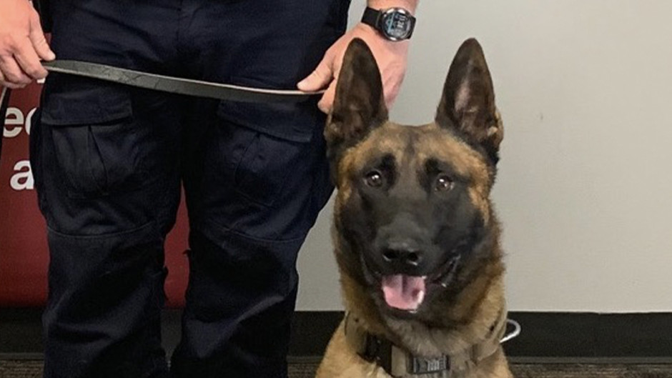 Policía de McAllen dispara contra mujer tras ataque a un perro policía