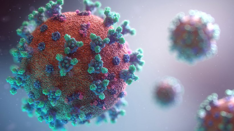 Confirman 61 casos nuevos de coronavirus en Tamaulipas, suman ya mil 992