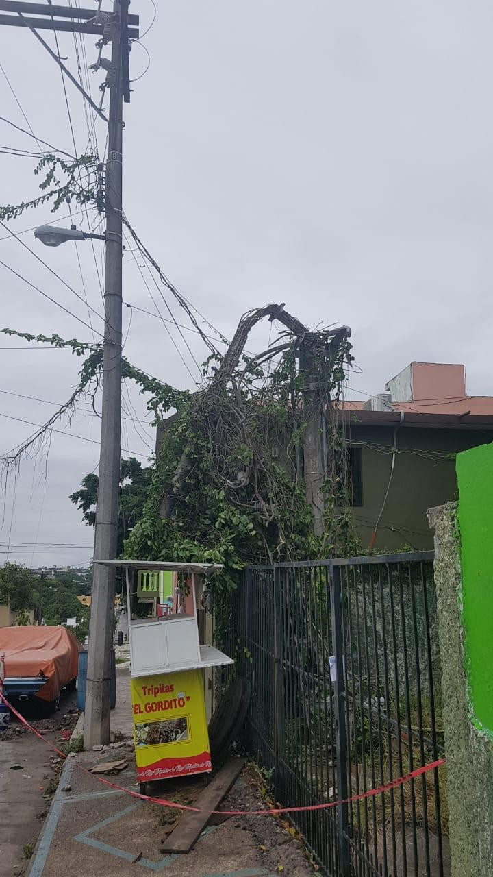 Aún hay sectores sin luz en Tampico 