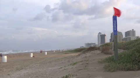 Reabren 3 accesos de playa en condado Cameron