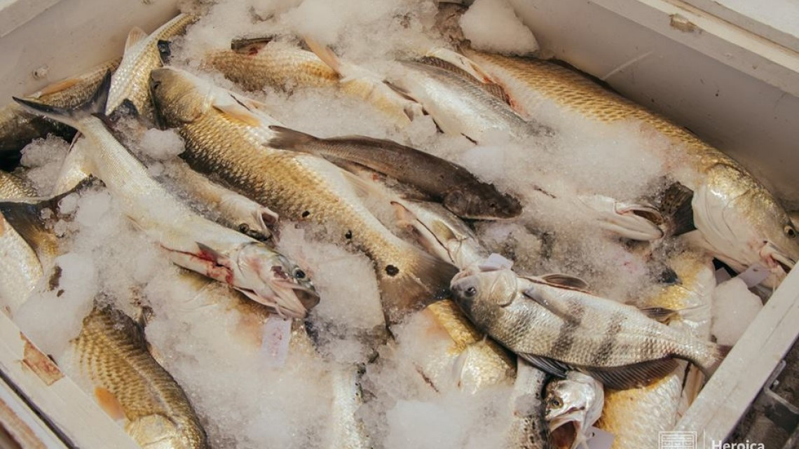 Primer Gran Torneo Internacional de Pesca en Bagdad