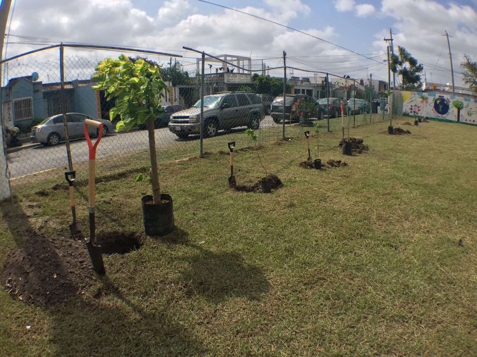 Inician programa de reforestación en escuelas de Matamoros 