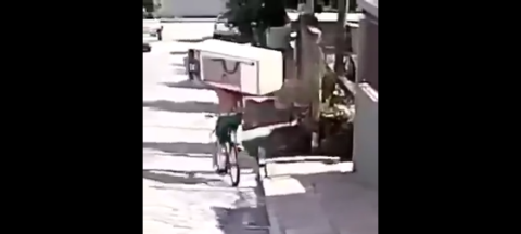 Hombre monta en su bicicleta con refrigerador 