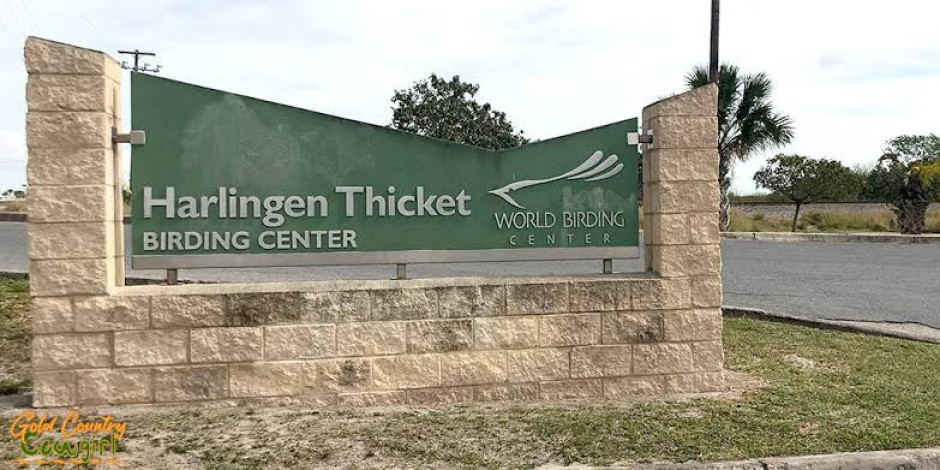 Sospechoso con arma puso en alerta a dos escuelas de Harlingen