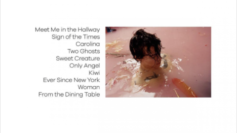 Harry Styles revela la portada de su disco