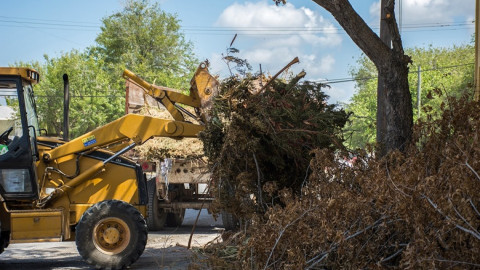 Servicios Públicos Primarios realiza el levantamiento de ramas 