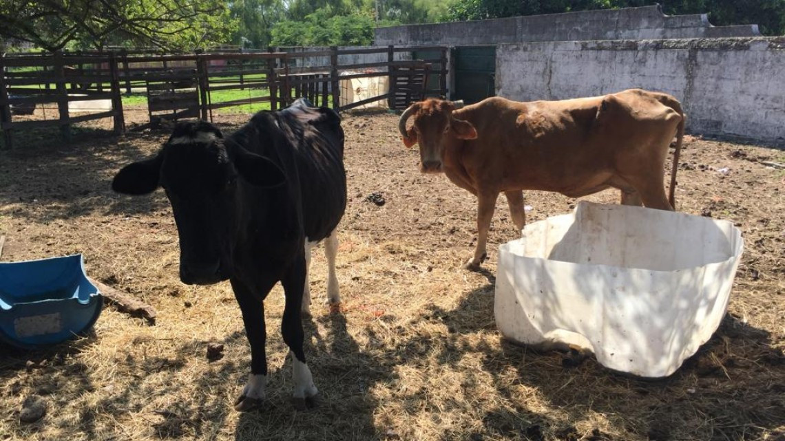Necesario apoyar al campo ante la falta de lluvias