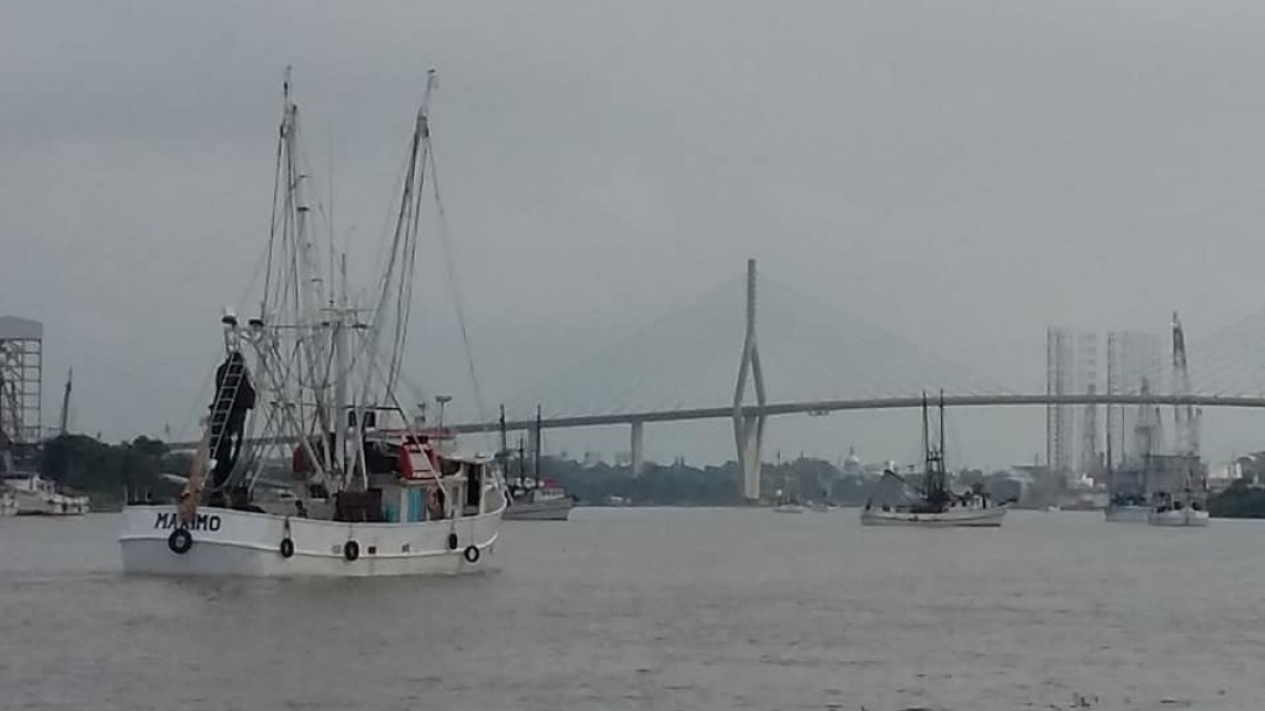 Despicadoras confían en que no se alargue más la veda en altamar