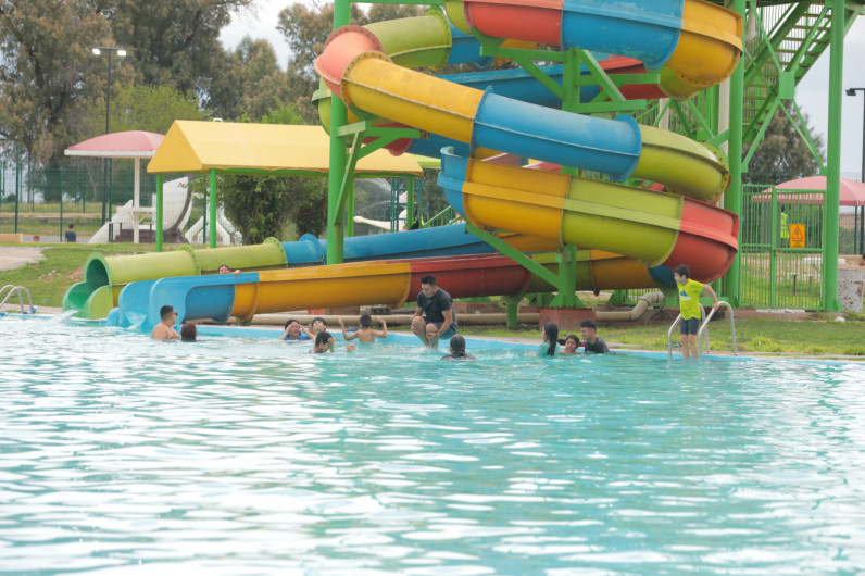 Zoológico, acuario y alberca gratis este sábado en el Festival del Día del Niño en Parque Viveros