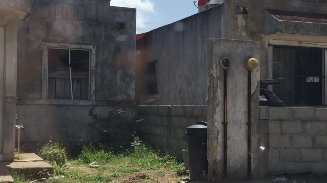 Preparan acciones de lucha contra el dengue