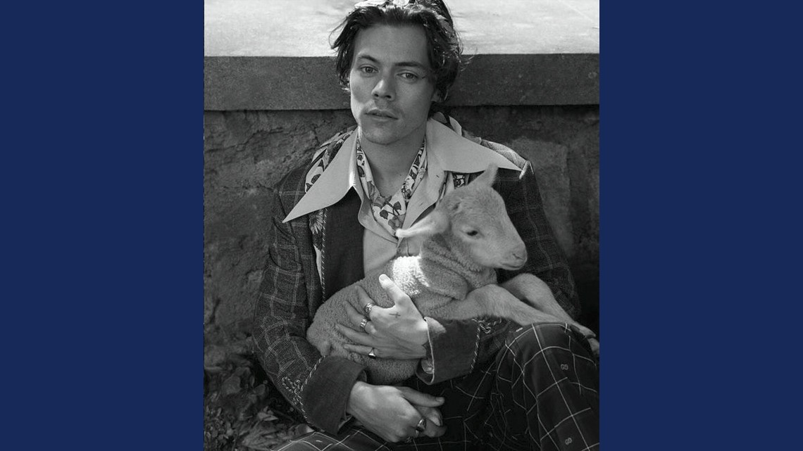 Harry Styles posa con animalitos para Gucci