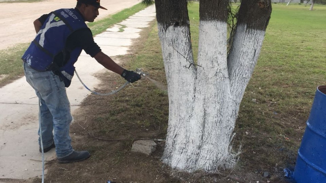 Municipio continúa subsanando necesidades en área rural