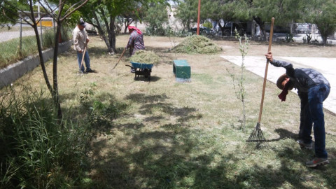 Limpian cuadrillas calles y sitios públicos 