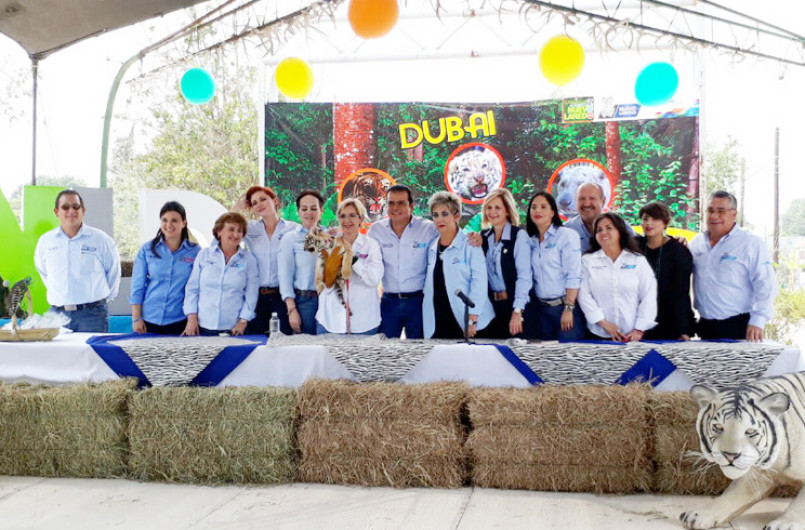 Tigresa de bengala ya tiene nombre