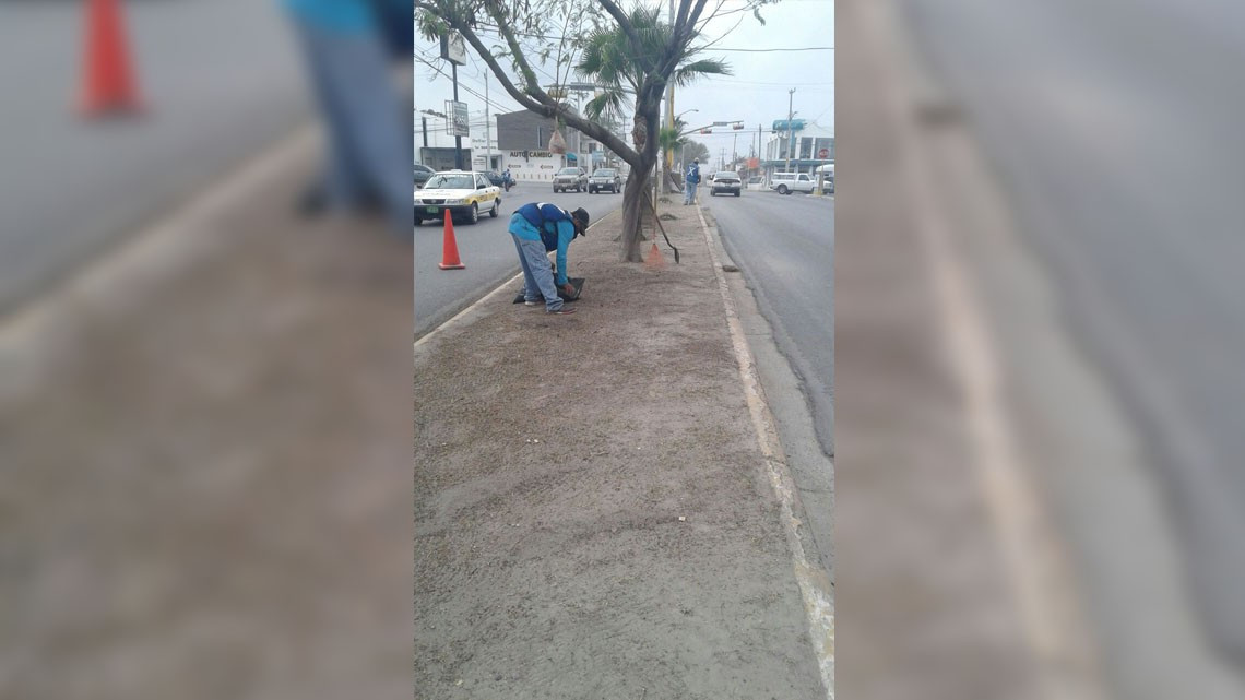 CSPP realiza labores de limpieza en calles y avenidas