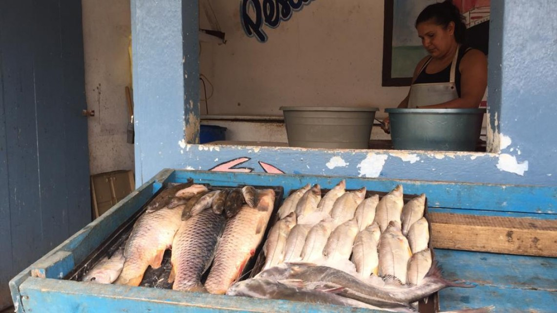COEPRIS verifica que haya sanidad en el manejo de alimentos dentro del ambulantaje