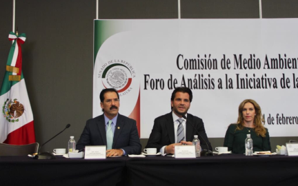 Construcción de muro fronterizo afecta al ecosistema: Pacchiano