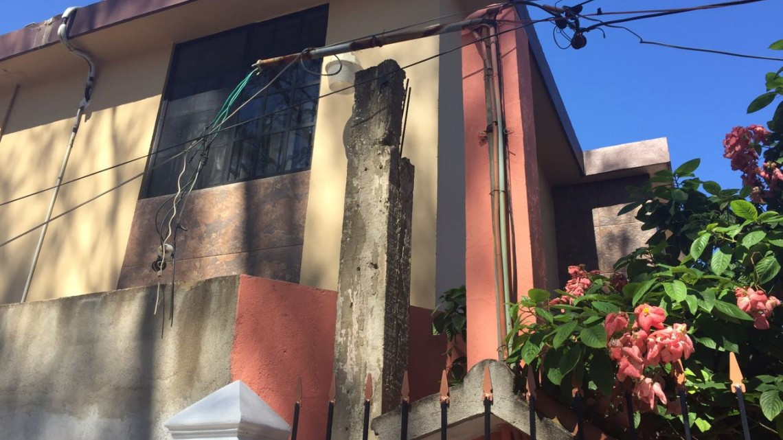 Pino tumba poste y cableado de CFE y deja sin luz a 100 viviendas