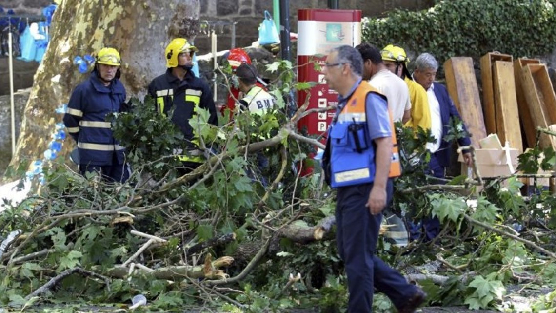 Reportan 13 muertos y 50 heridos tras caída de árbol en Madeira