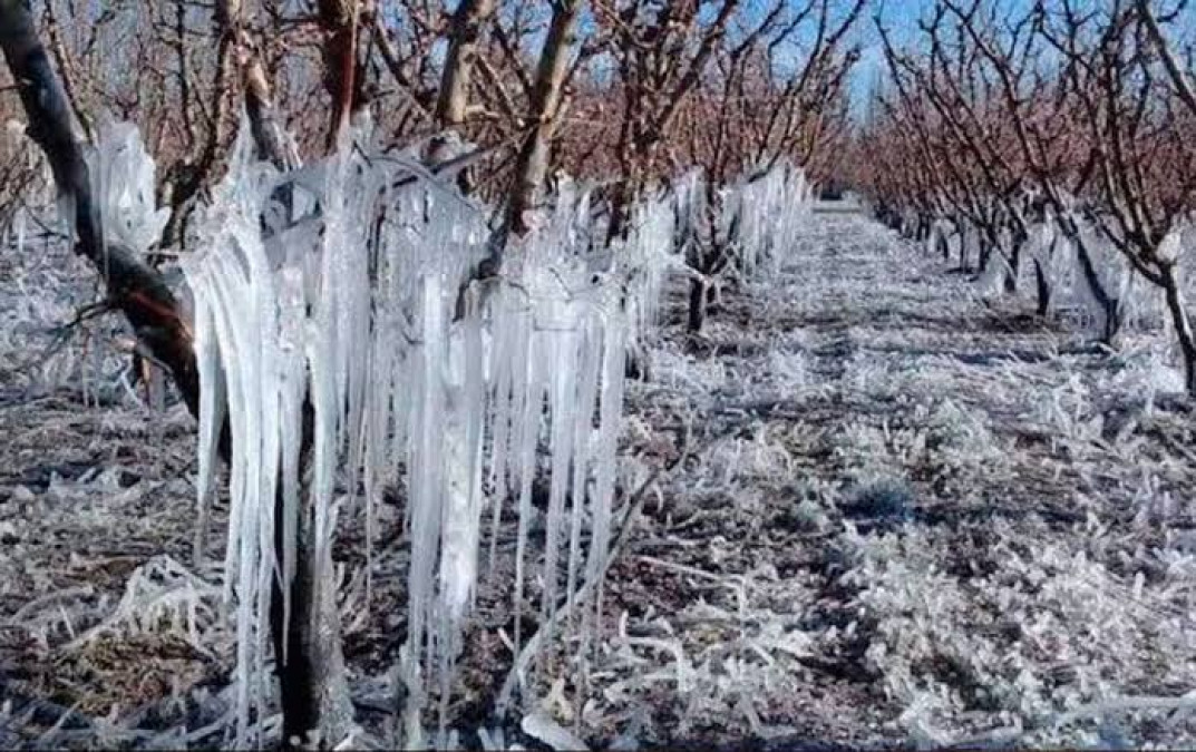 Red de energía de Texas es vulnerable a clima invernal extremo