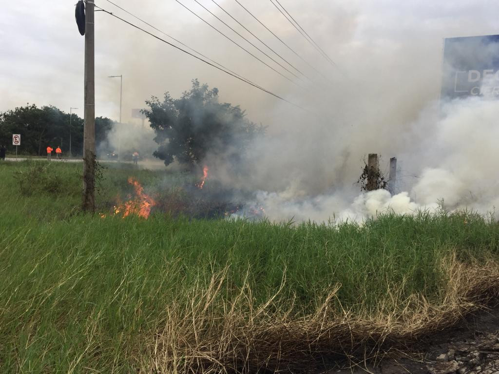 Fuertes vientos propagan incendio de pastizales en Altamira