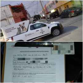 Aplicó Dirección de Control y Bienestar Animal sanción por responsabilidad de mascota