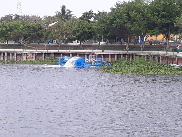 Continúan trabajos de limpieza de maleza acuática, en la laguna de champayan